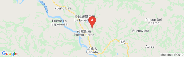 Puerto Lleras Airport图片