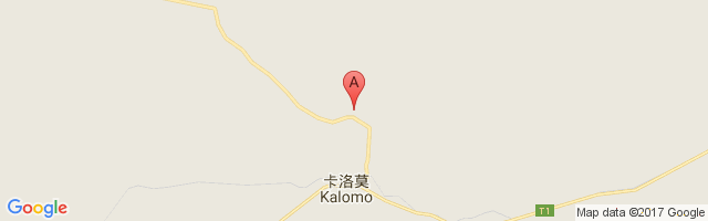 Kalomo Airport图片