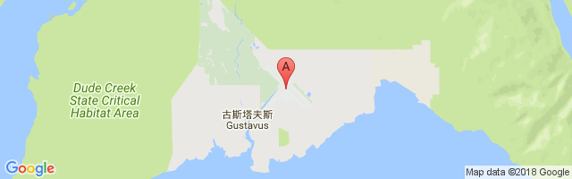 Gustavus Airport图片