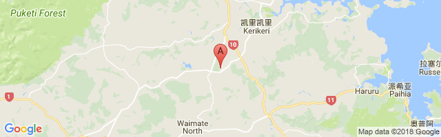 Kerikeri Airport图片