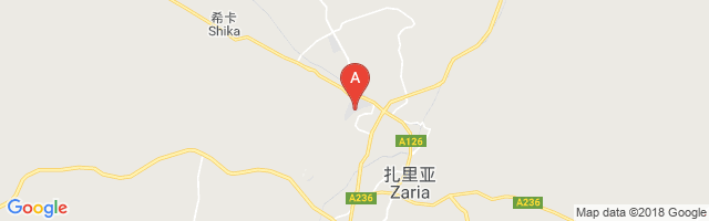 扎里亚机场 Zaria Airport图片