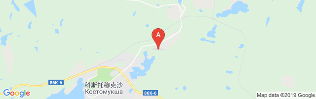 Kostomuksha Airport图片