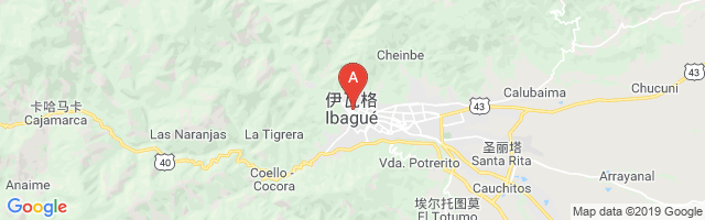 Beneficencia Del Tolima Airport图片