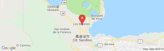 Los Brasiles Airport图片