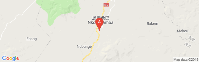 Nkongsamba Airport图片