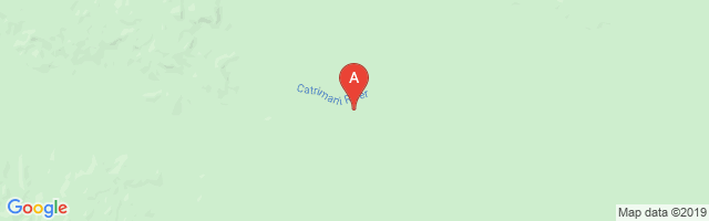 Catrimani I Airport图片