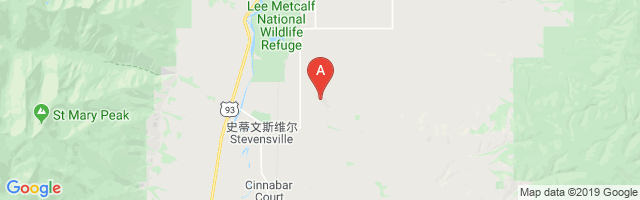 Stevensville Airport图片