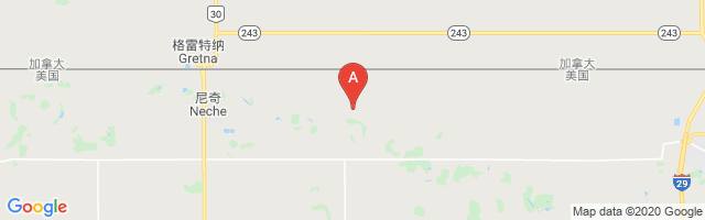 Horsley Airstrip Airport图片