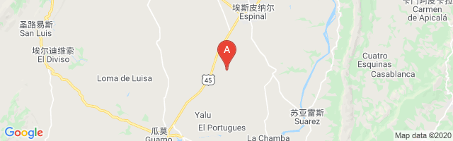 La Bastilla Airport图片