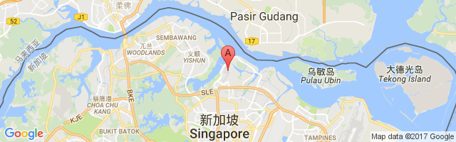 实里达机场 Seletar Airport图片