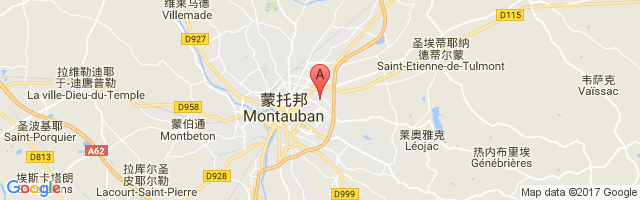 Montauban Airport图片