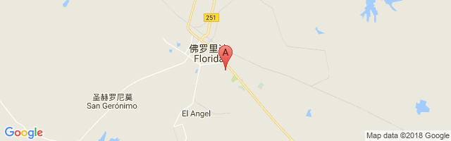 Florida Airport图片