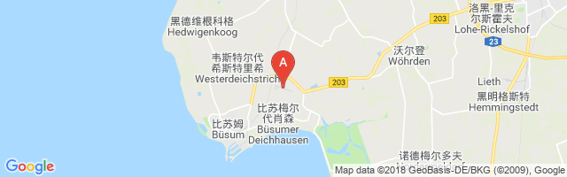 Heide-Büsum Airport图片