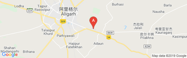 Dhanipur Airstrip Airport图片