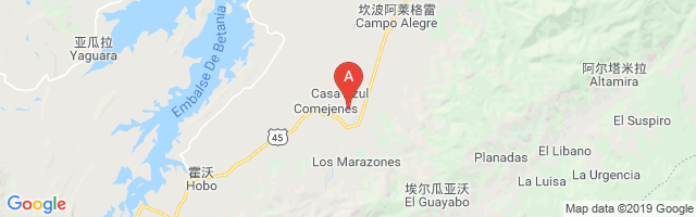 El Limonar Airport图片