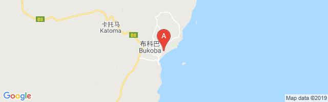 Bukoba Airport图片