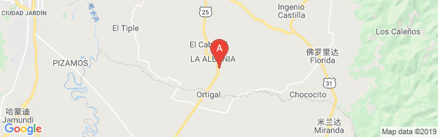 Las Cañas Airport图片