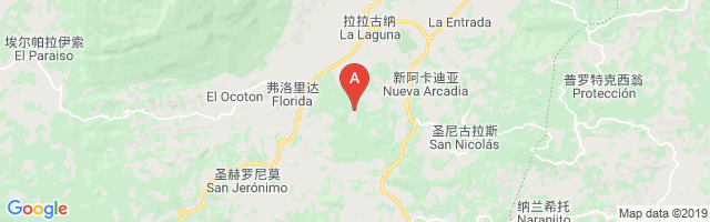 La Estanzuela Airport图片