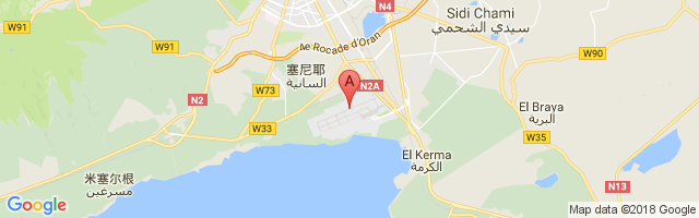 艾塞尼亚机场 Es Senia Airport图片