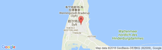 叙尔特岛机场 Westerland Sylt Airport图片