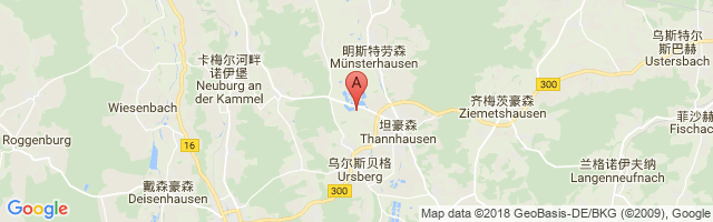 Thannhausen Airport图片