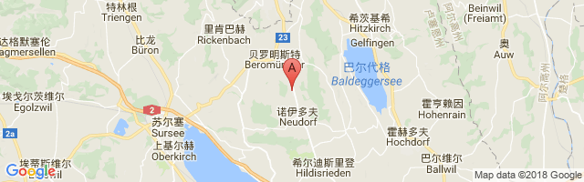 Luzern-Beromunster Airport图片