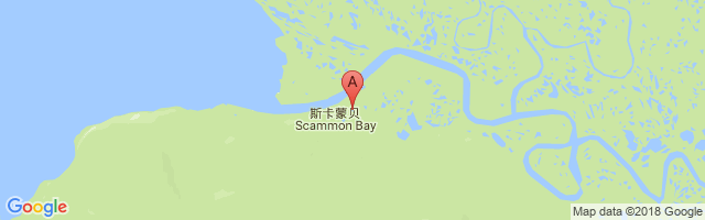 Scammon Bay Airport图片