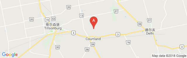 Courtland / Tillsonburg Flying Club Field Airport图片