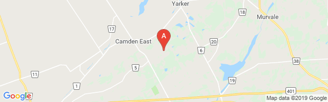 Camden East Airstrip Airport图片