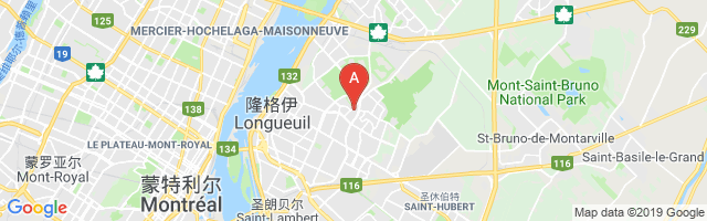 Montreal / Longueuil (Centre Hospitalier Pierre-Boucher) Airport图片