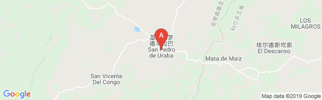 San Pedro De Urabá Airport图片