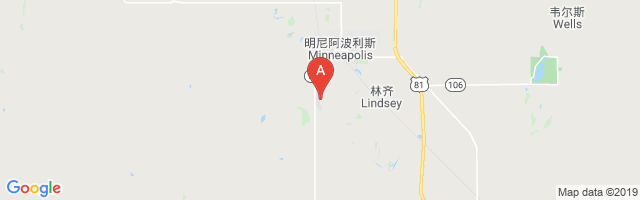 Minneapolis City County Airport图片