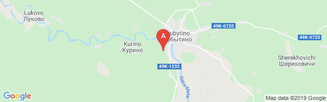 Lyubytino Airstrip Airport图片