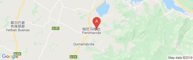 Panimavida Airport图片