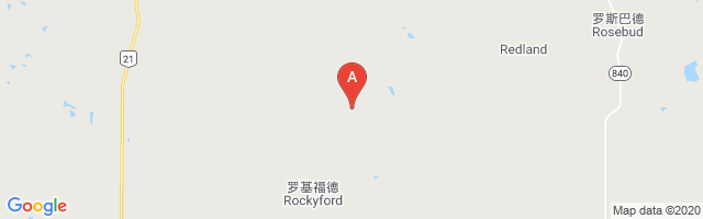Rockyford Airport图片