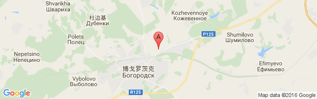 Bogorodsk Airfield Airport图片