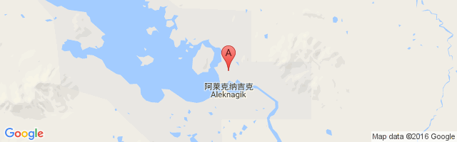 Aleknagik / New Airport图片