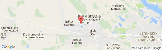 新西伯利亚机场 Tolmachevo Airport图片