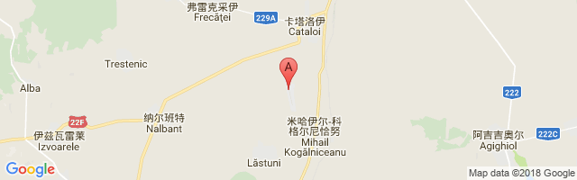 Tulcea Airport图片