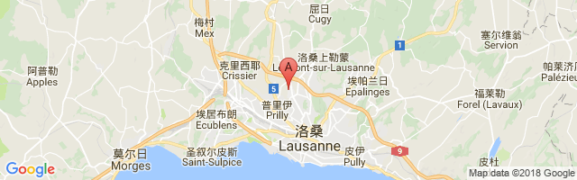 Lausanne-la Blecherette Airport图片
