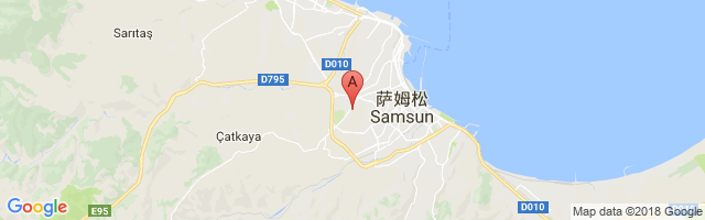 Samsun Samair Airport图片