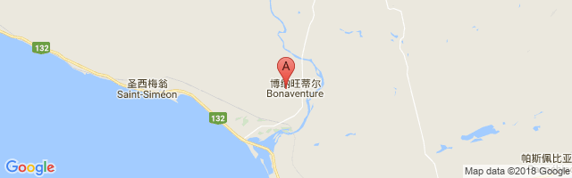 Bonaventure Airport图片