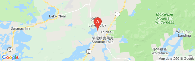 Adirondack Medical Center Airport图片