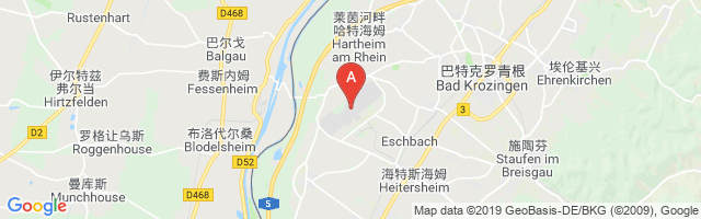 Bremgarten Airport图片