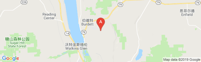 Eagle Ridge Airport图片