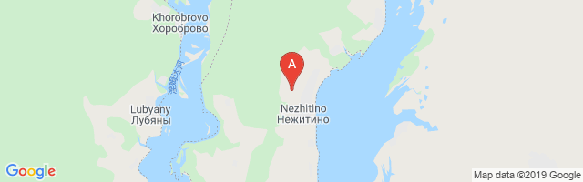 Nezhitino Airport图片