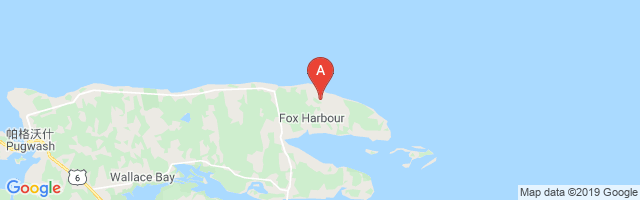 Fox Harbour Airport图片
