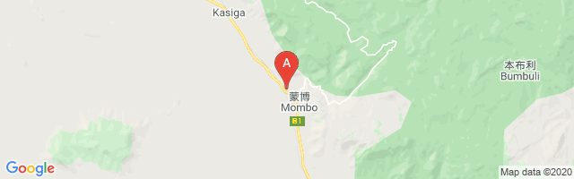 Mombo Airport图片
