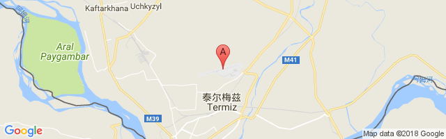 Termez Airport图片