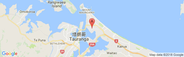 Tauranga Airport图片